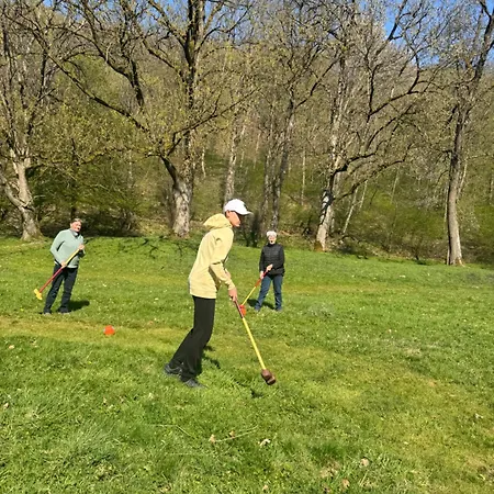 Le Lavandin Familial 10 -12p *